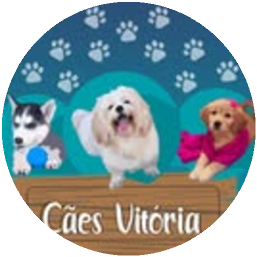 Cães Vitória
